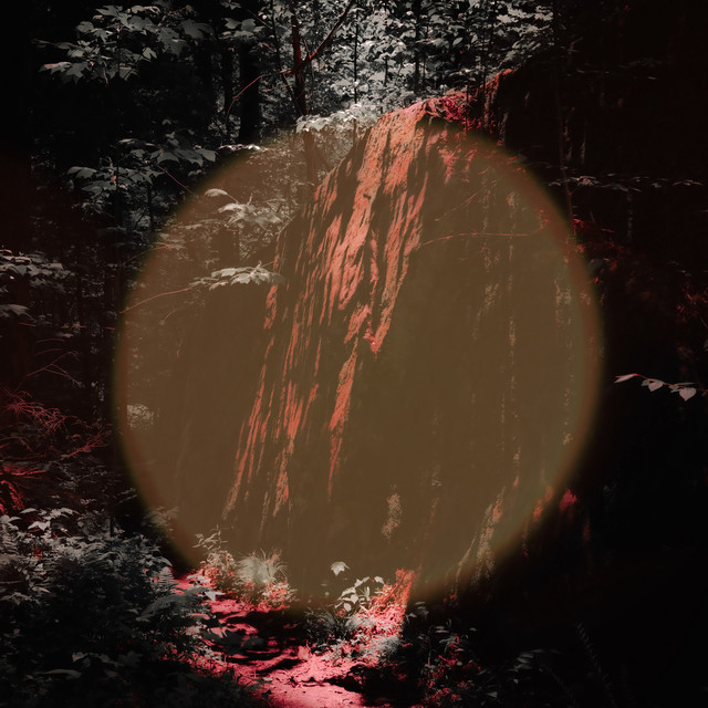Onyx album image