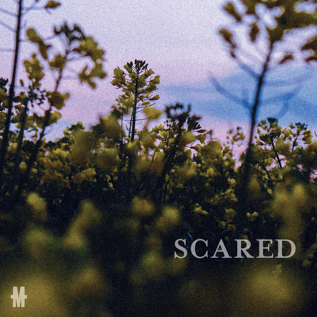 Scared cover art