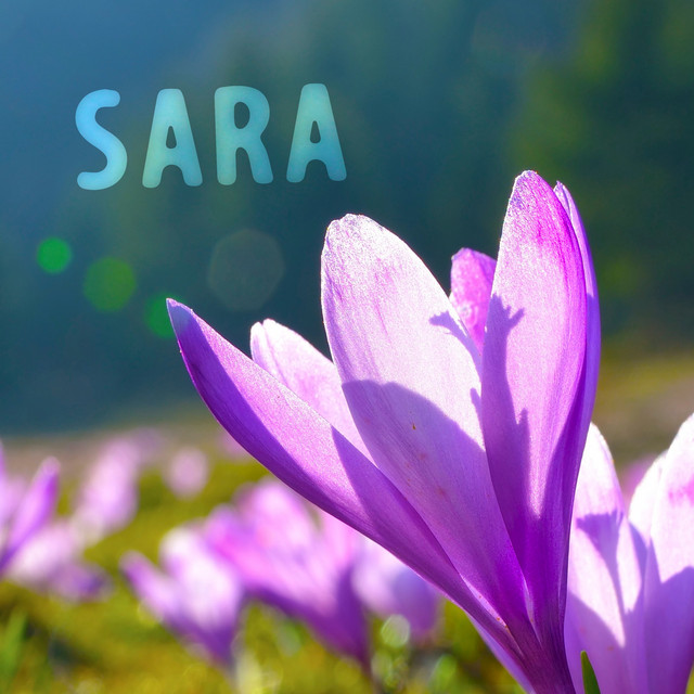 Sara cover art