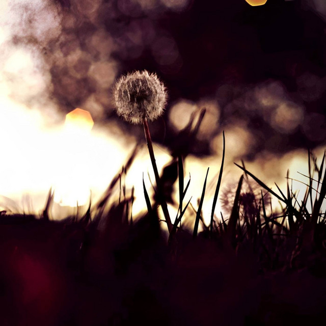 Autumn Feelings