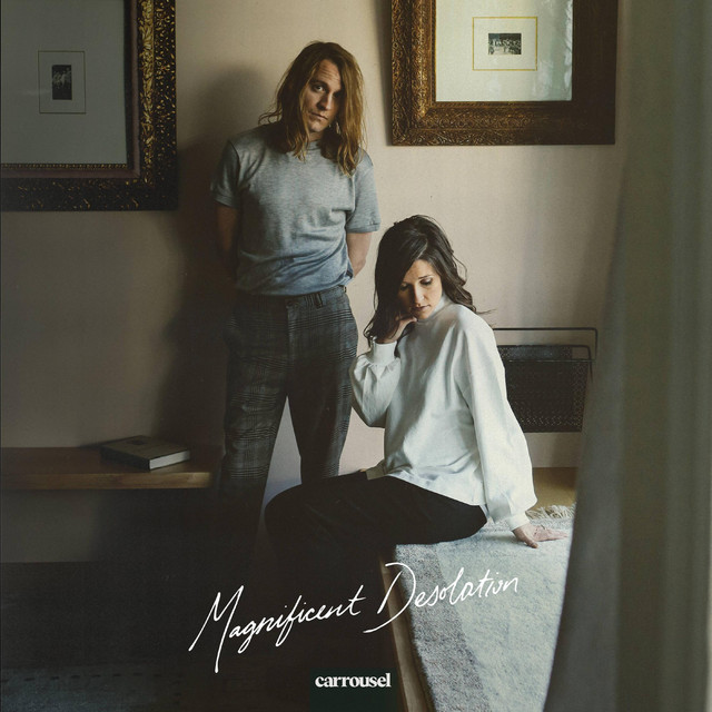 Magnificent Desolation cover art