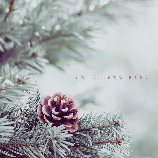 Auld Lang Syne cover