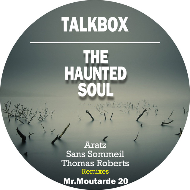 The Haunted Soul cover art