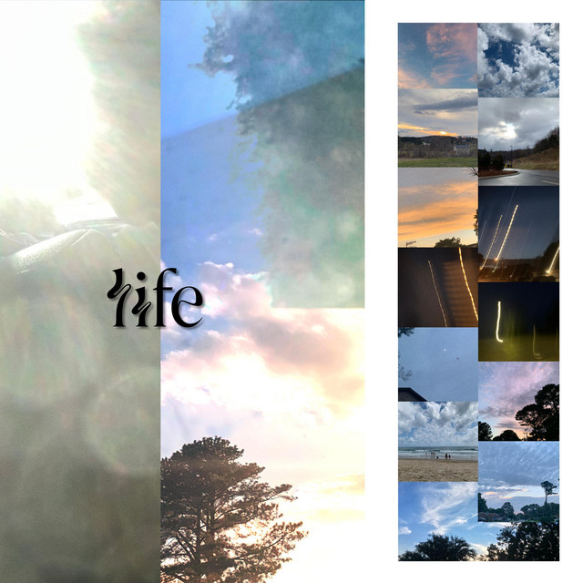 life cover art