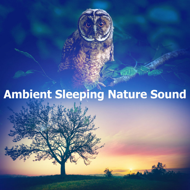 Ambient Sleeping Nature Sound - Album by Sleeping Nature Sound | Spotify