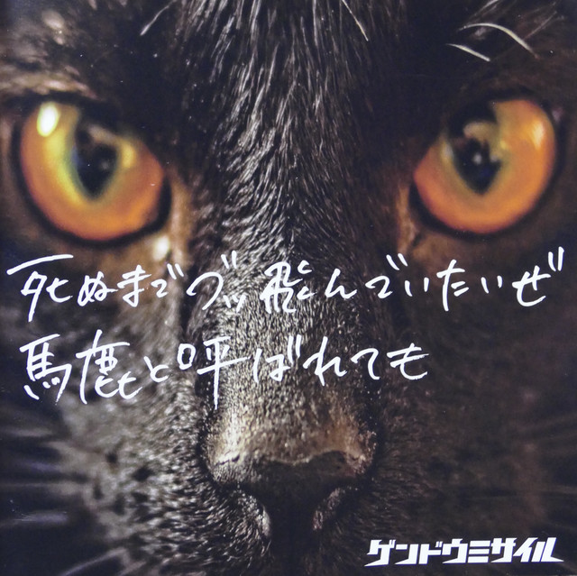 死ぬまでブッ飛んでいたいぜ馬鹿と呼ばれても cover art