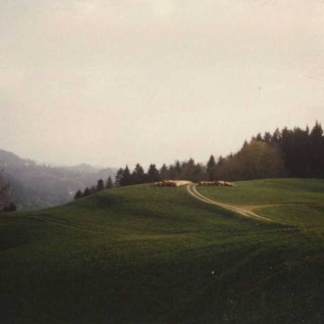 The Hills cover art