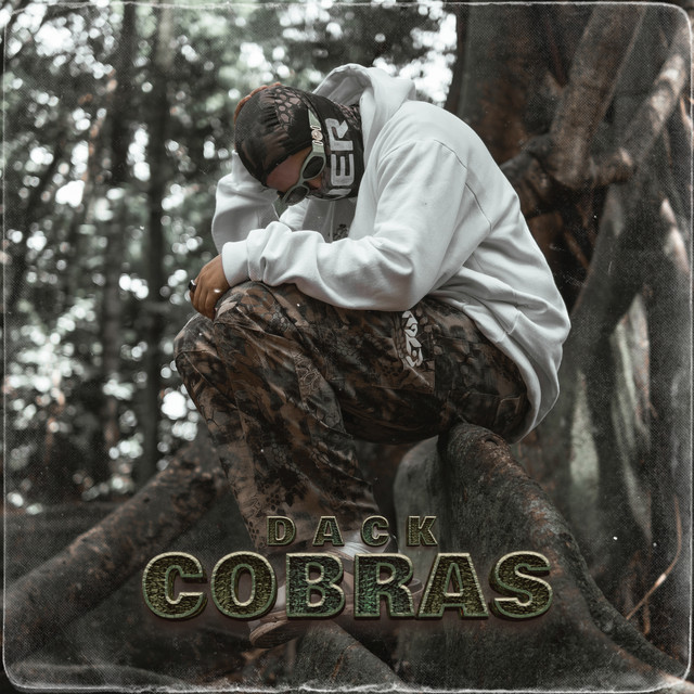 Cobras cover art