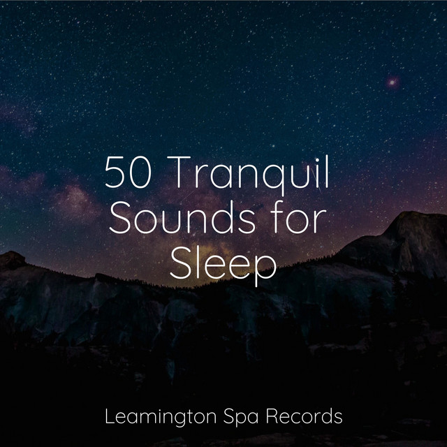 50 Tranquil Sounds for Sleep - Album by Rain Drops for Sleep | Spotify