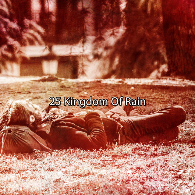 25 Kingdom Of Rain cover art
