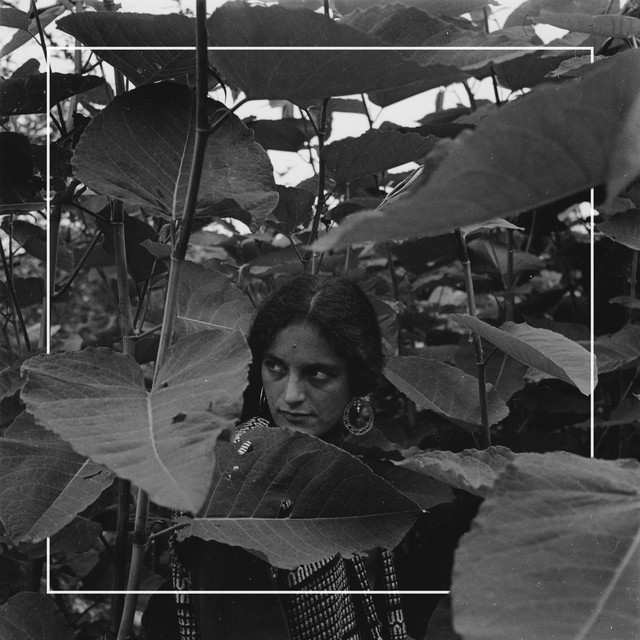Homeward cover art