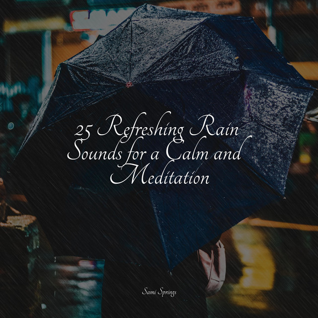 25 Refreshing Rain Sounds for a Calm and Meditation - Album by Sleepy ...