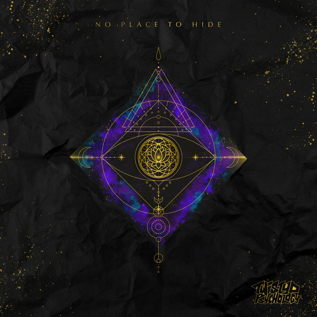 No Place To Hide cover