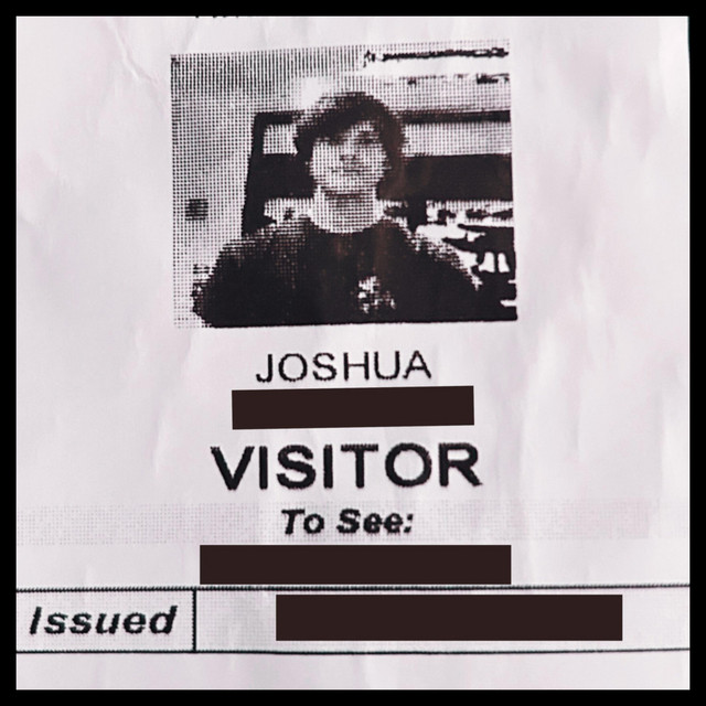 VISITOR cover art