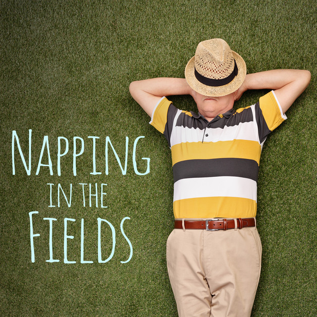 Napping in the Fields cover art