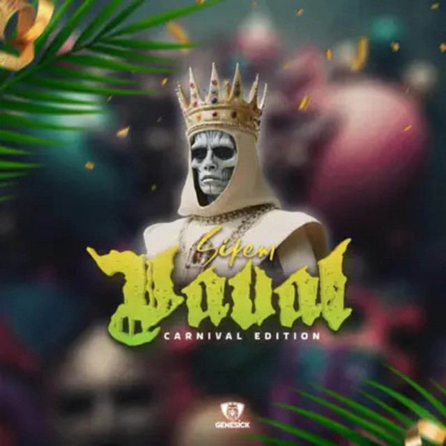 RACHÉ PLICHÉ cover art