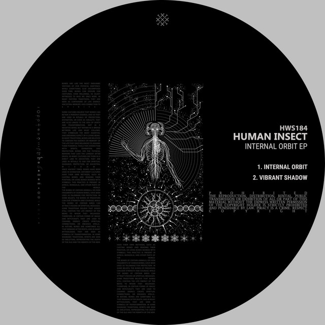 Human Insect - Internal Orbit