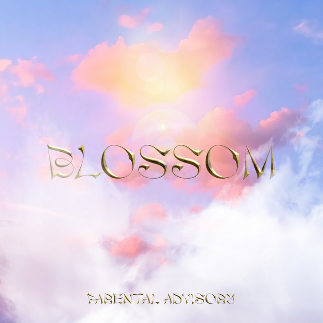 Cover art for shugar man — Blossom