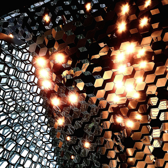 Light cover art