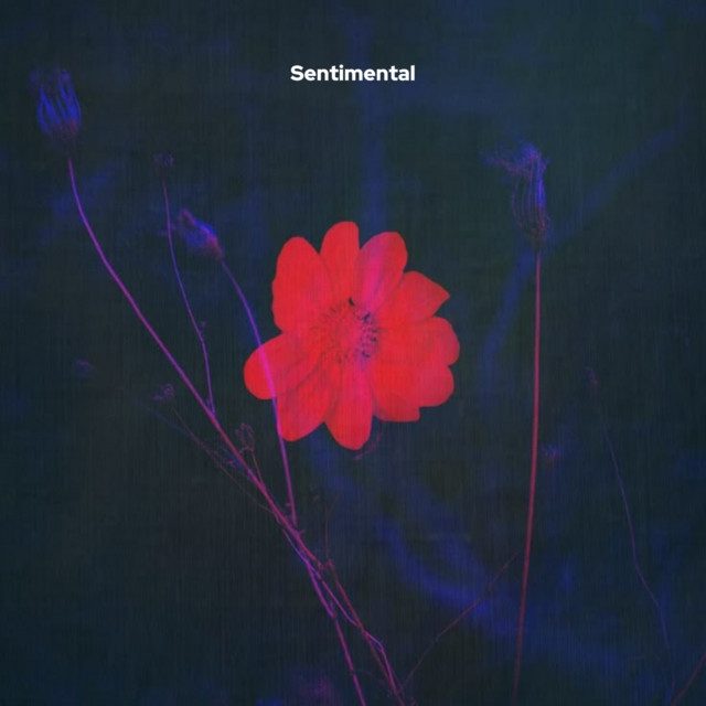 Sentimental - song and lyrics by Panda Kpz, FLACOBOi | Spotify