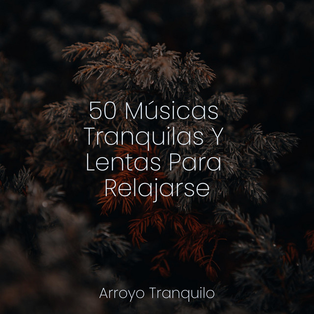 50 Músicas Tranquilas Y Lentas Para Relajarse cover art