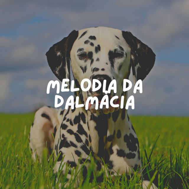 Melodia da Dalmácia - Album by Música de Cachorro Calmante | Spotify