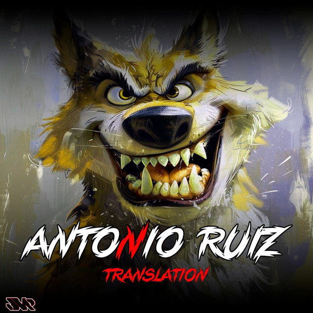 Translation cover art