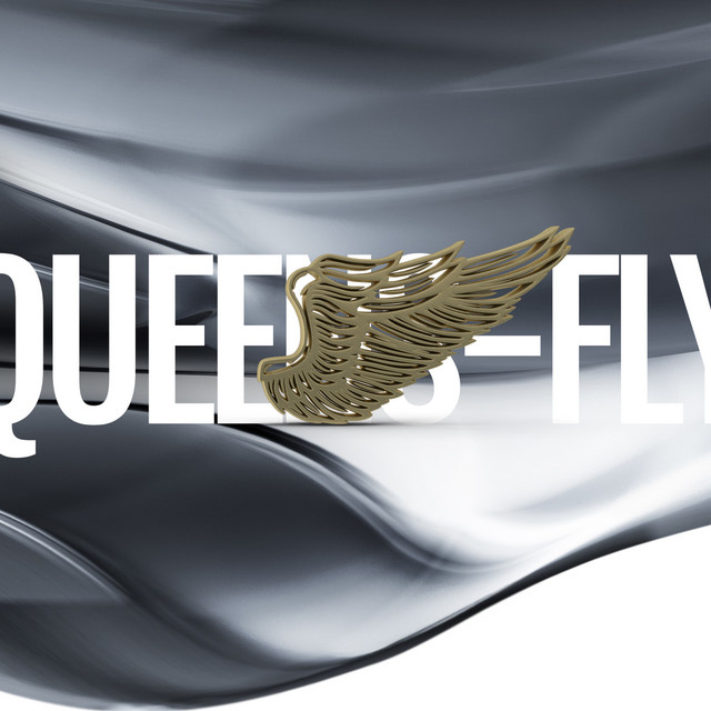 Fly cover art