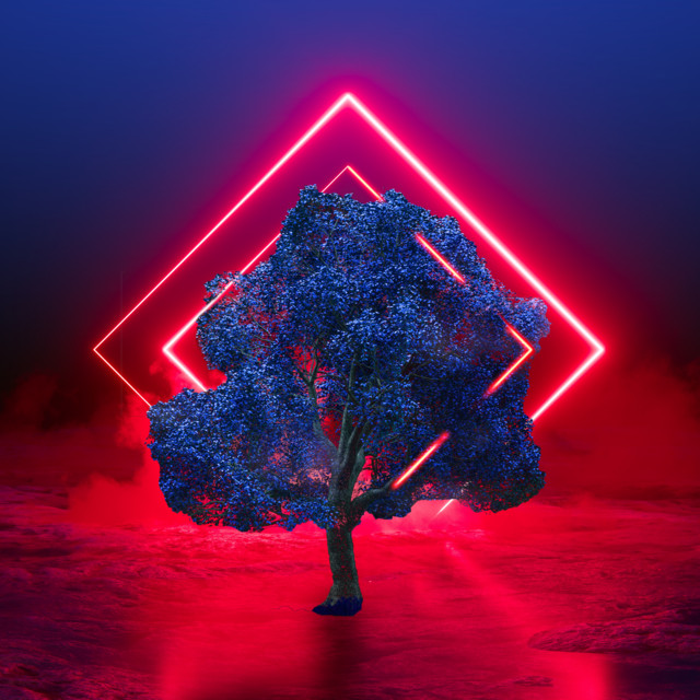 The Love cover art