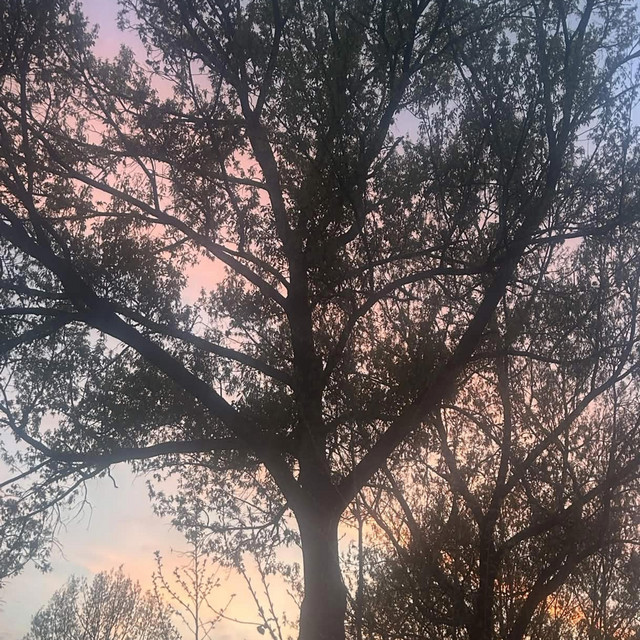 spring cover art