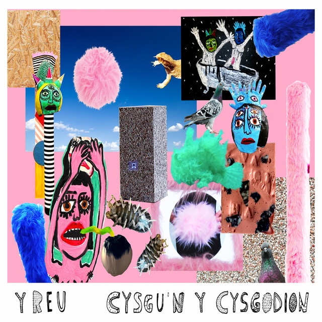 Cysgu'n Y Cysgodion cover