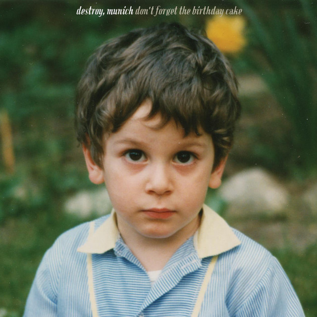 Don´t Forget The Birthday Cake cover