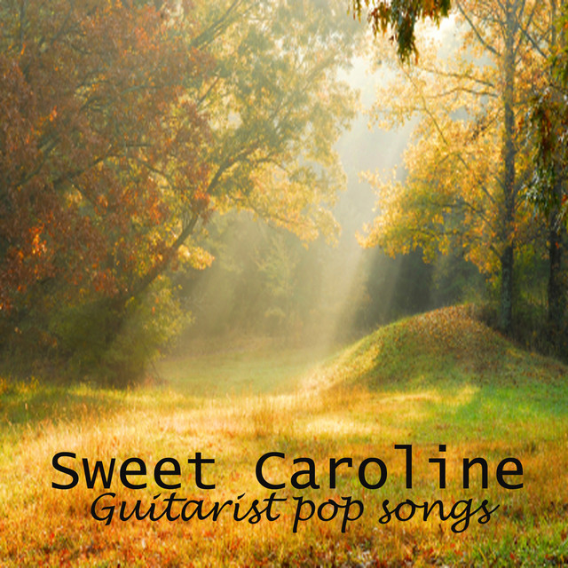Guitarist - Sweet Caroline - Guitarist Pop Songs cover art
