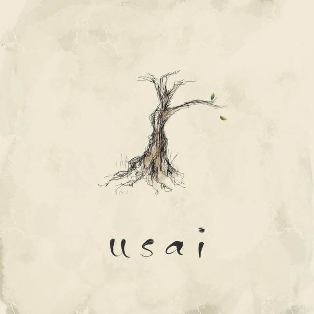 Usai cover