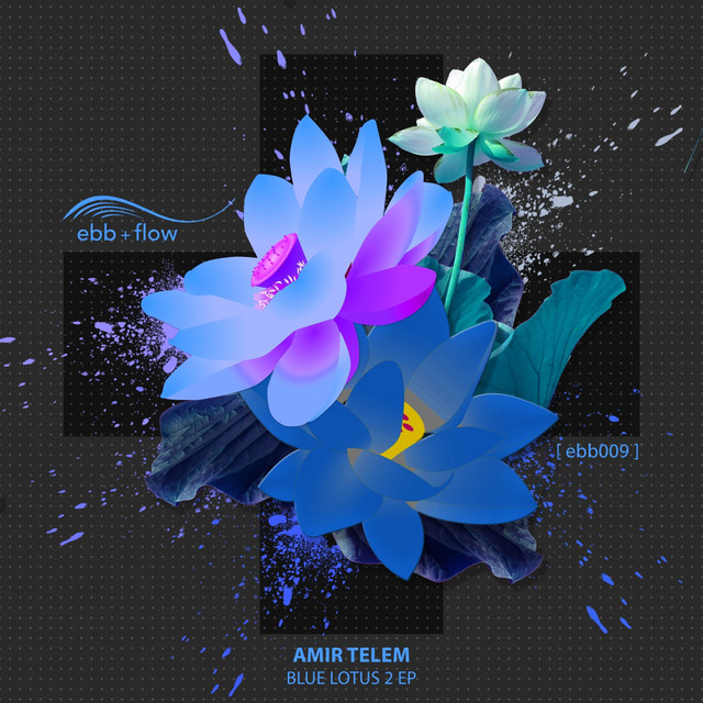 Обкладинка Amir Telem — Blue Lotus 2