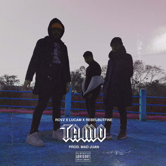 Tamo - Single by Rovz | Spotify