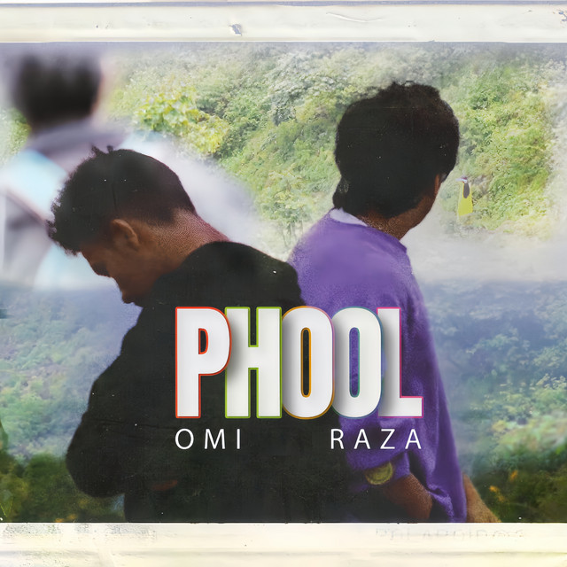 PHOOL cover art
