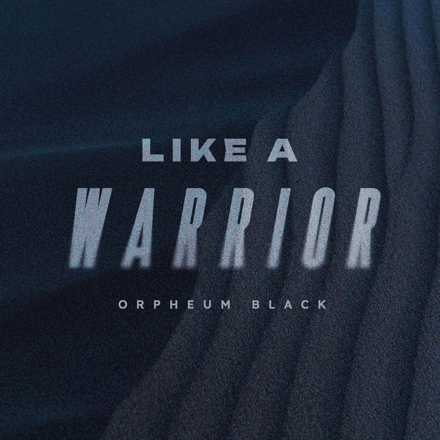 Like a Warrior cover