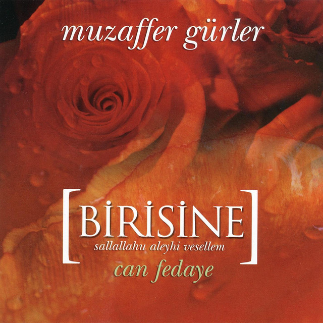 Birisine cover art