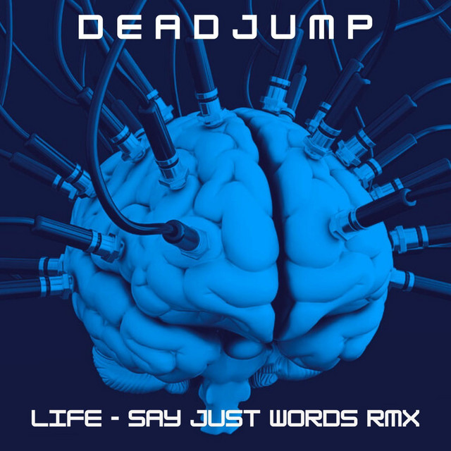 Life (Remix) cover