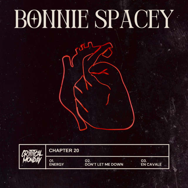 Chapter 20 : Bonnie Spacey cover art