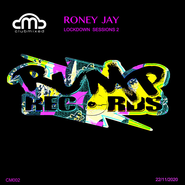 Wake Me Up - Roney Jay Remix - song and lyrics by Roney Jay, Shelley ...
