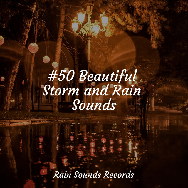 #50 Beautiful Storm and Rain Sounds - Album by Sleepy Night Music | Spotify