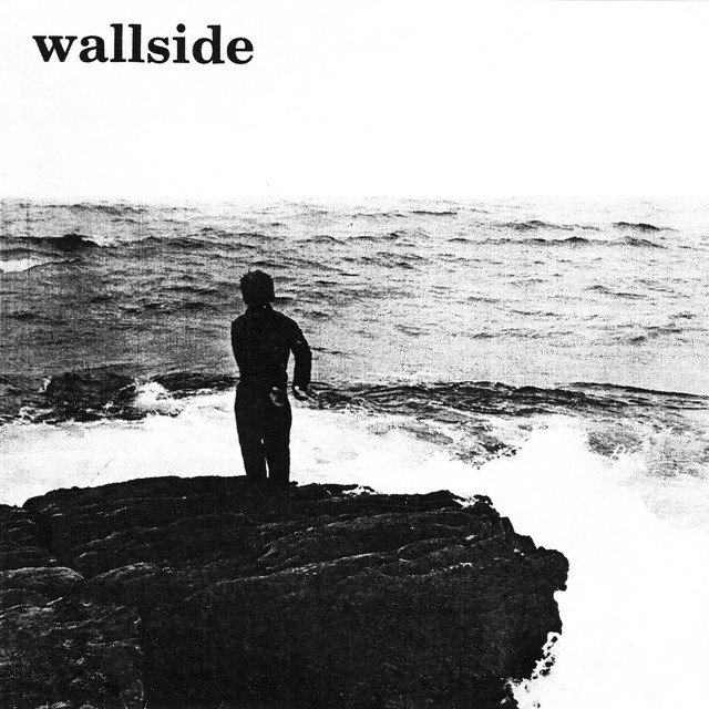 s/t cover art