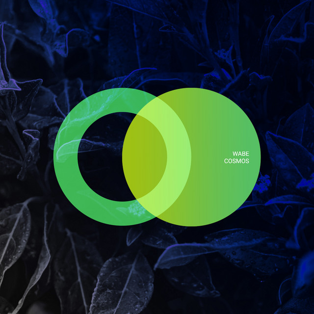 Cosmos album art