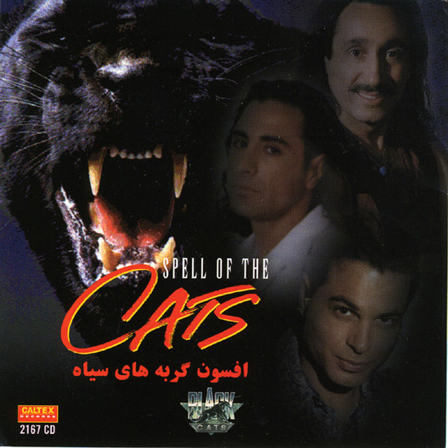Cover of Another Chance