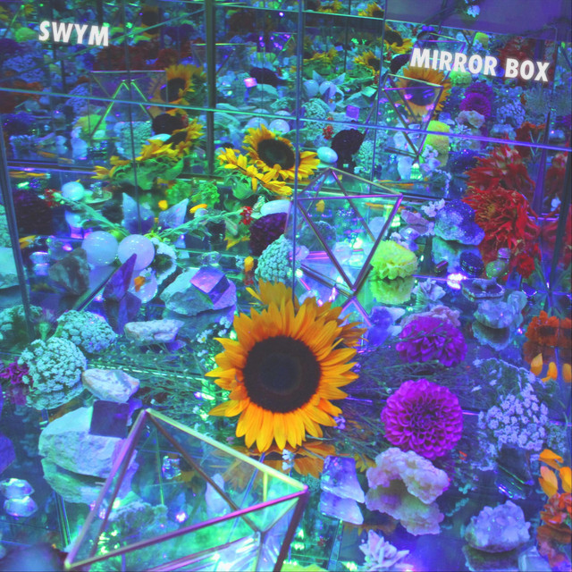 Mirror Box cover art