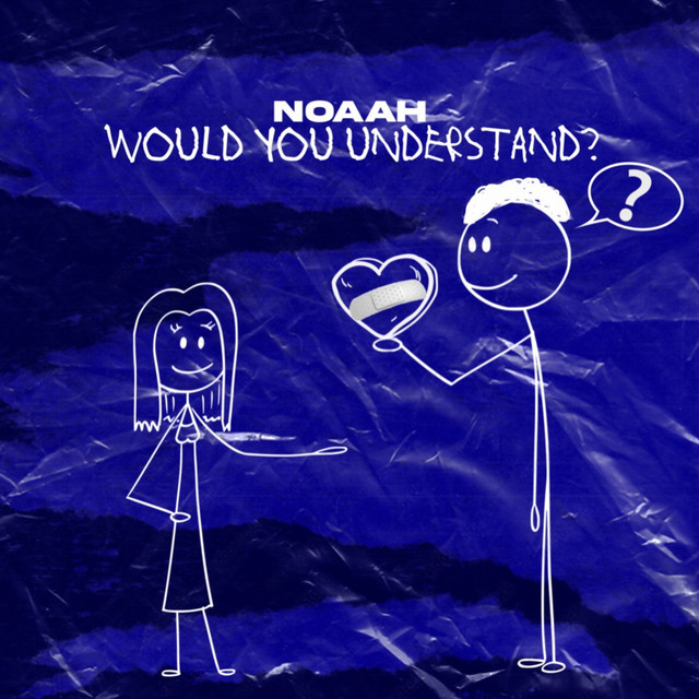 would you understand? cover art
