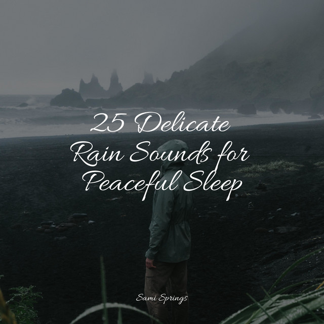 25 Delicate Rain Sounds for Peaceful Sleep - Album by Ambient Music ...