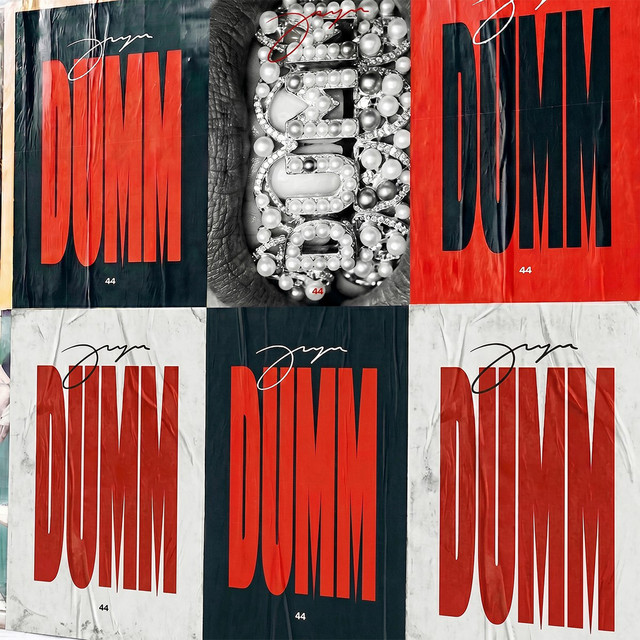 DUMM cover art